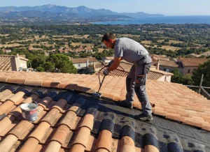 Traitement hydrofuge de toiture