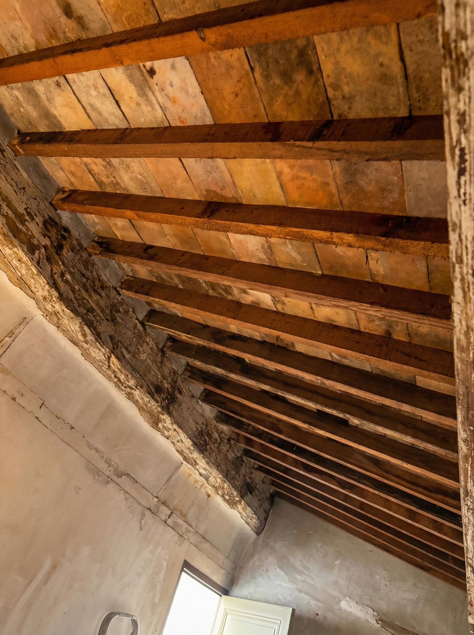 Vue sur la structure de charpente